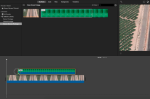 greenscreen5